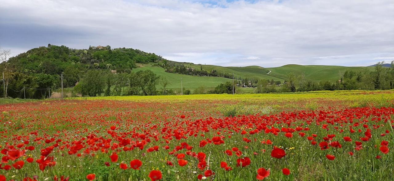 Podere Pian dei Gelsi Volterra Exterior foto
